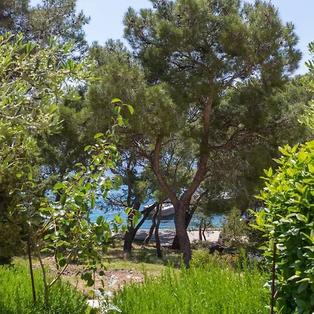 Silvana Sveta Nedelja (Hvar)