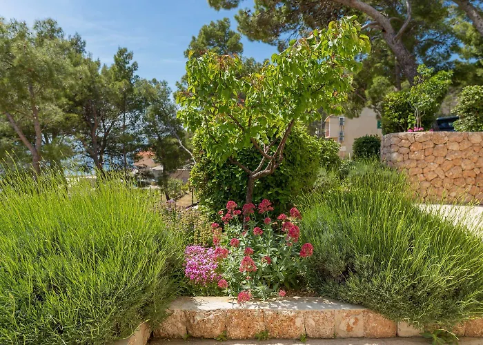 Apartamento Silvana Sveta Nedelja (Hvar)