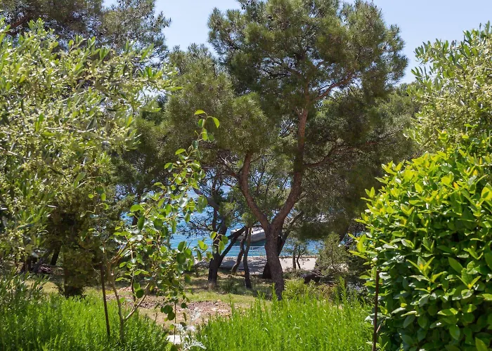 Silvana Sveta Nedelja (Hvar)
