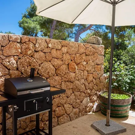 Silvana Sveta Nedelja