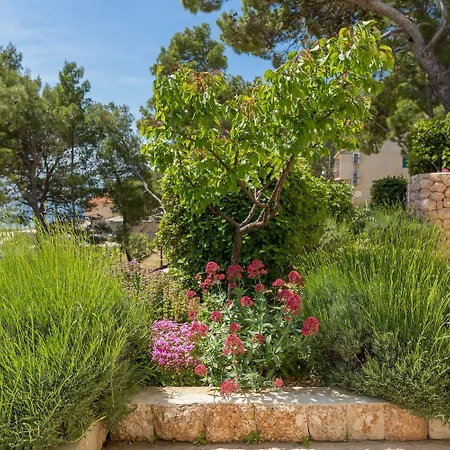 Apartman Silvana Sveta Nedelja