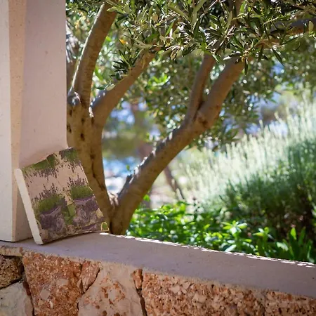 Silvana Apartament